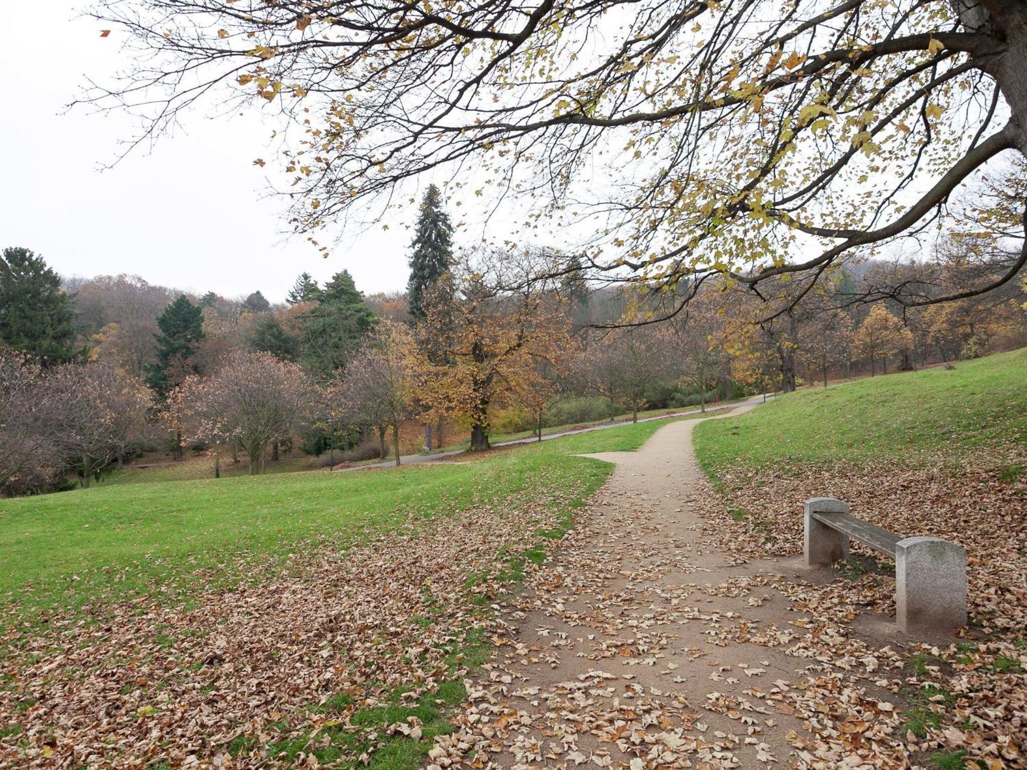 Beautiful Apartment In D Rnthal Near The Forest Voigtsdorf Экстерьер фото
